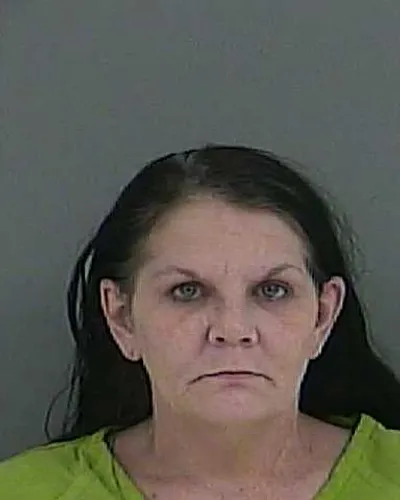 COURTNEY VINEYARD mugshot