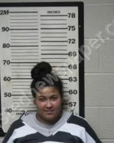 TRINA OWENS mugshot