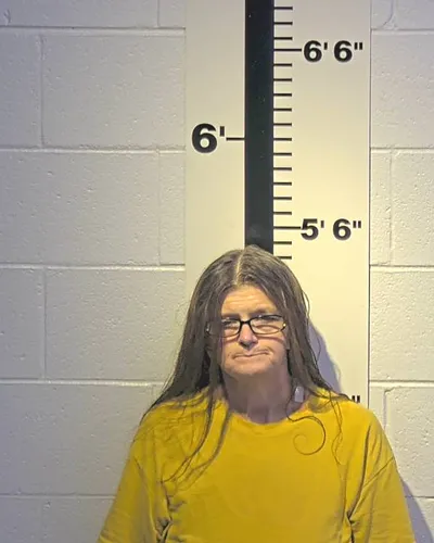 TERESA CHADWELL mugshot