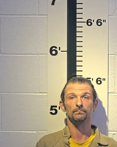 JONATHAN SWEAT mugshot