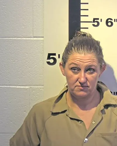 SAMANTHA JOHNSON - PAINTER mugshot