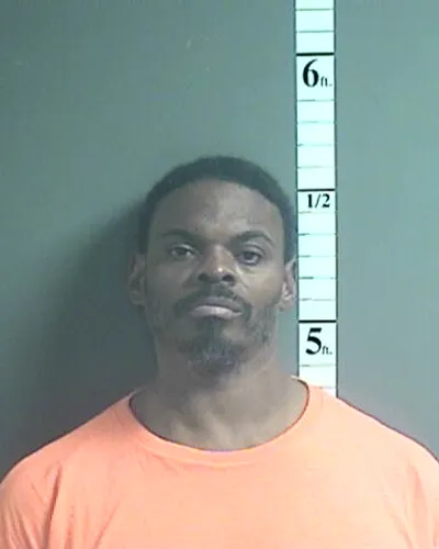 TYRAY JOHNSON mugshot