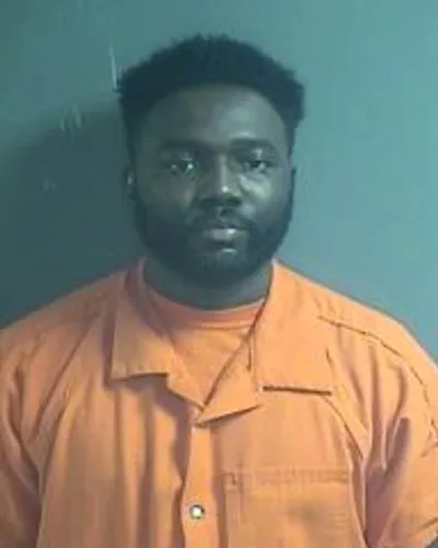 JEAN JOHNSON mugshot