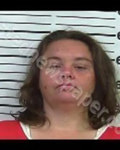 PATSY THOMAS mugshot