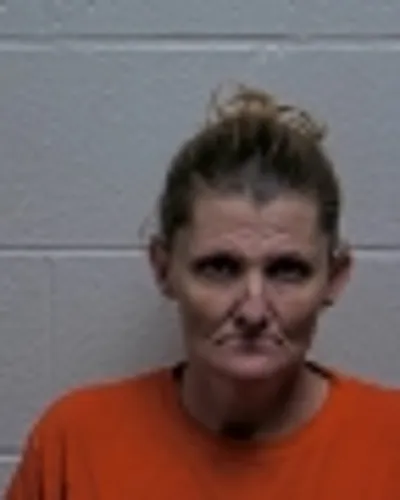 KAREN WALKINGTON mugshot