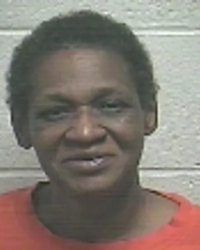 MELINDA NELSON mugshot