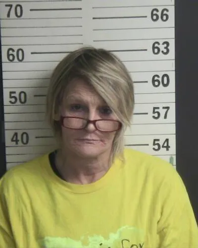 BRENDA LEE mugshot