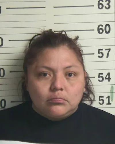 JOHNNY BRIDGES mugshot