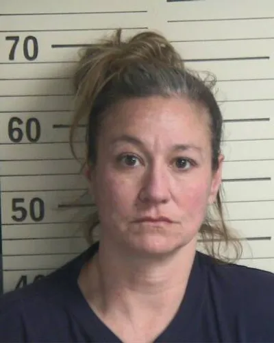 CHRISTY COLLINS mugshot