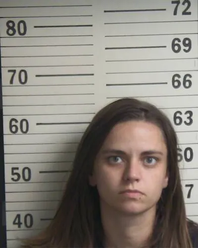 HOWARD PROFFITT mugshot