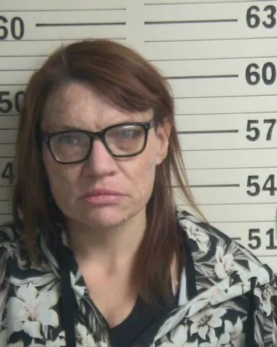 DIAMEN PHILLIPS mugshot