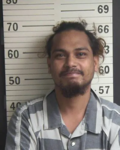 BRYAN BOLTON mugshot