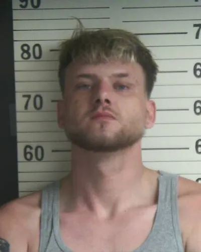 VICTORIA WILLFORD mugshot