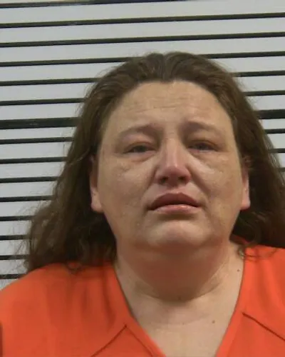 Bradrick Shields mugshot