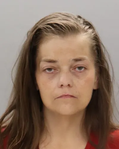 Rhonda Barger mugshot