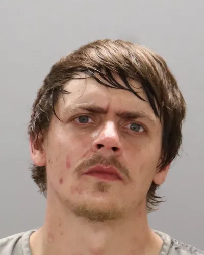 Wilford Buhl mugshot