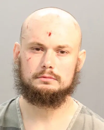 Michael Henegar mugshot