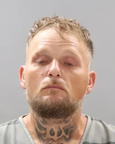 Michael Lewis mugshot