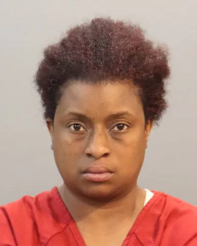 Pennastina Holt mugshot