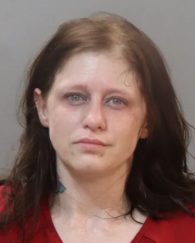 Heather Dyer mugshot