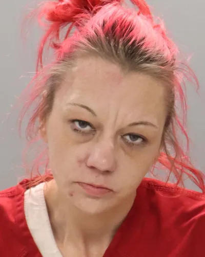 Chasity Stout mugshot