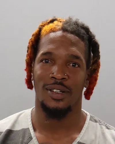 Dominic Bowman mugshot