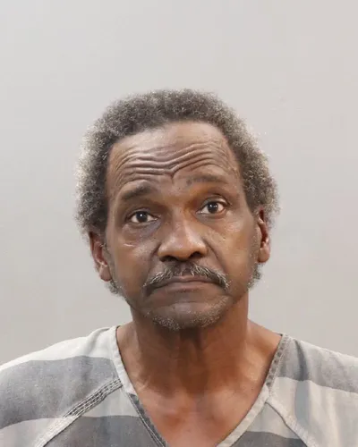 Michael Johnson mugshot