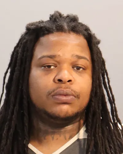 Ronald Rogers mugshot