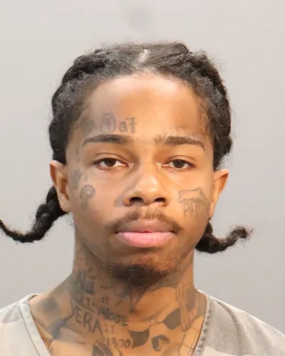 Dashawn Johnson mugshot