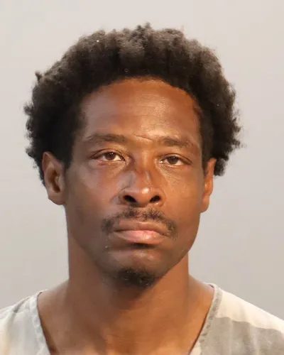 Broderick Johnson mugshot