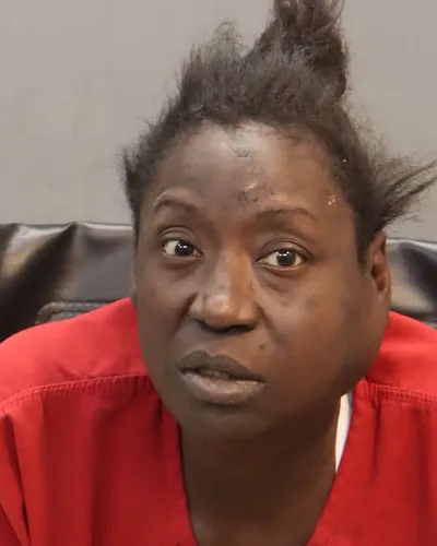 Jessica Hudgins mugshot