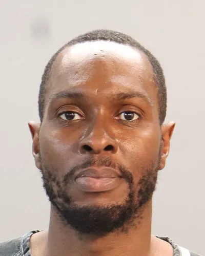 Olumayowa Adetujoye mugshot