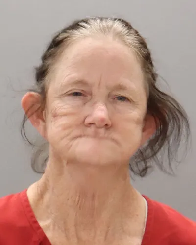 Lisa Babb mugshot