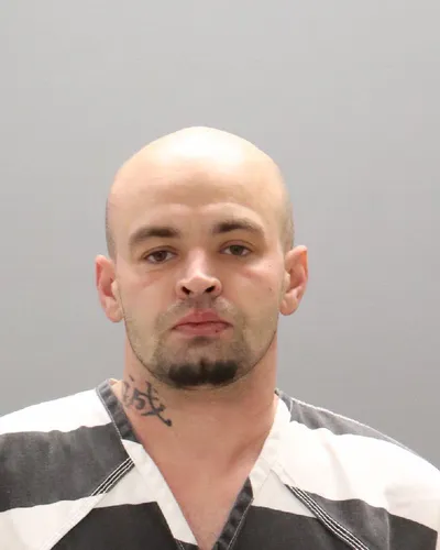 Robert Powell mugshot