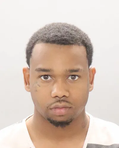 Terrence Brundige mugshot