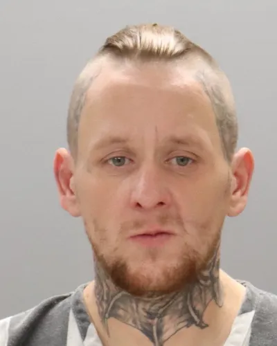 Dallis Pippin mugshot