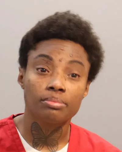 Cassi Johnson mugshot