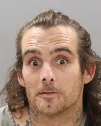 Michael Long mugshot