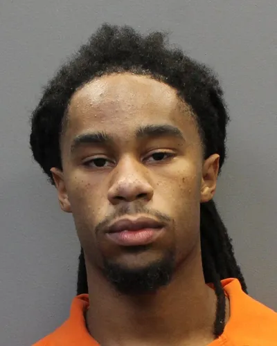 Demetrius Johnson mugshot