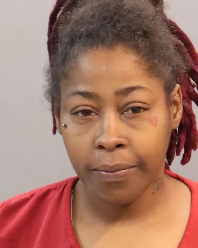 Shalena Wells mugshot