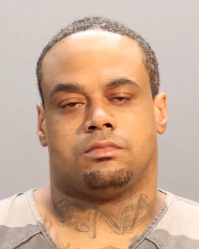 Brittney Goins mugshot