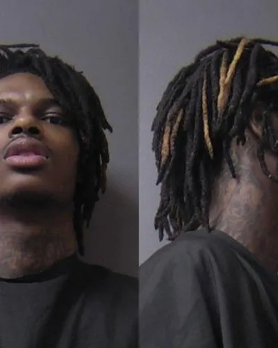 Reginald Fleming mugshot