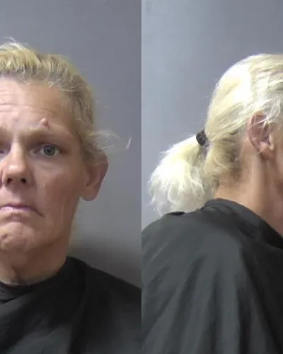 Jeanne Mccarty-Long mugshot