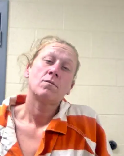 SUSAN BRAZIEL mugshot