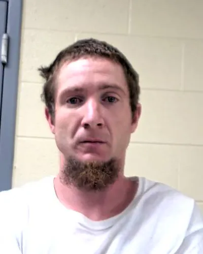 CHRISTOPHER WELLS mugshot