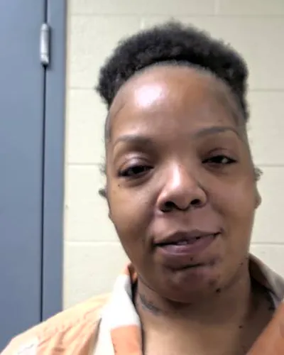 FRANCES FLEMING mugshot