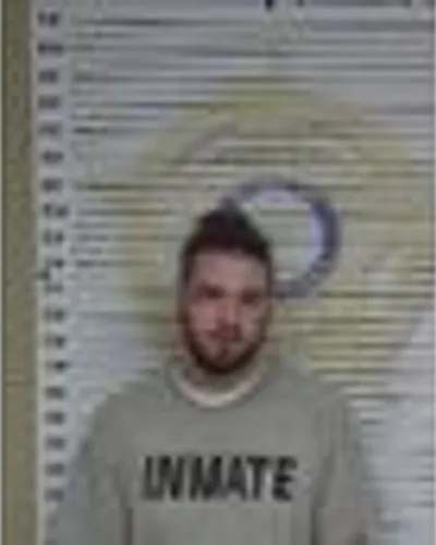 Michael Loviolette mugshot