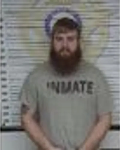 Dylan Townsend mugshot