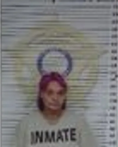 Rebecca Wade mugshot
