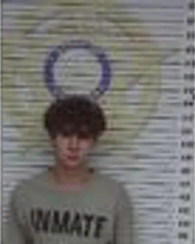 Ashton Perron mugshot